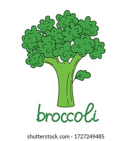 Juicy green broccoli isolated on a white background