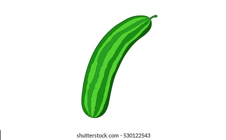 Juicy Green Cucumber - Cartoon Vector Image