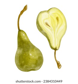 Juicy green pear and half a fruit. Vector graphics.
