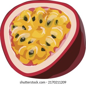 Vector de fruta de la pasión de medio corte jugoso