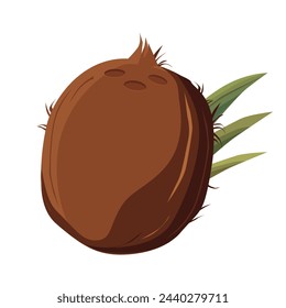 Juicy and healthy brown coconut isolated on white background. Vector fruit illustration in flat style. Summer clipart for design of card, banner, flyer, sale, poster, icons