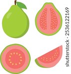 Juicy and healthy green fresh guava fruit set whole, halves, round and slice. Set of green guava different positions, simple flat vector illustrator isolated on white background. 