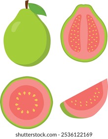 Juicy and healthy green fresh guava fruit set whole, halves, round and slice. Set of green guava different positions, simple flat vector illustrator isolated on white background. 