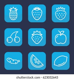 Juicy icon. set of 9 outline juicy icons such as strawberry, lemon, Cherry, cucumber, apple, watermelon