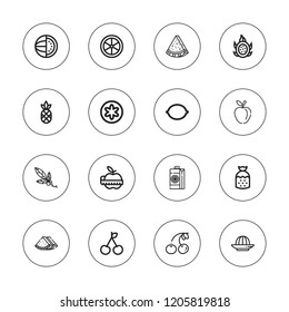 Juicy icon set. collection of 16 outline juicy icons with apple, berry, cherry, dragon fruit, juice, lemon, pineapple, squeezer, strawberry icons.