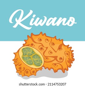 juicy kiwano vector illustration with section, beautiful square background design