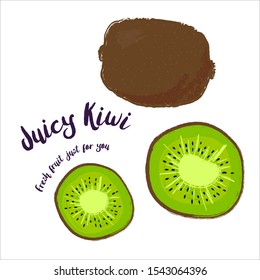 Juicy Kiwi. Fresh fruit drawn by hand. Vector illustration