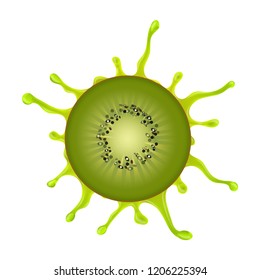juicy kiwi with a splash. isolated image. realistic style. vector illustration.