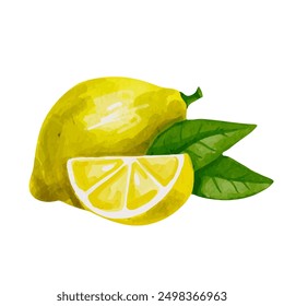 Juicy, juicy lemon citrus fruit. Vector graphics.