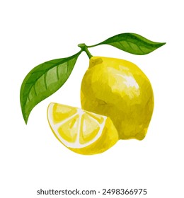 Jugoso, jugoso limón cítrico. Gráficos de Vector.