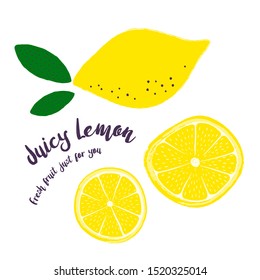 Juicy lemon. Fresh fruit drawn by hand. Vector illustration