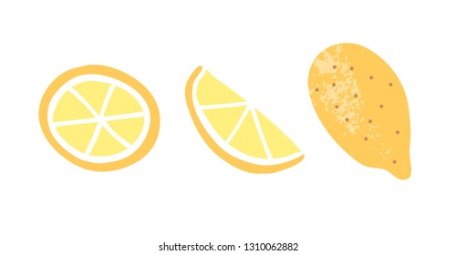 Juicy Lemon and lemon slice vector illustration on white background. Hand drawn print in doodles style