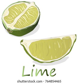 Juicy  lime illustration  isolated on white background.
