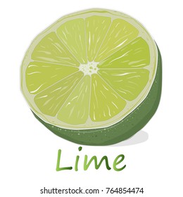 Juicy  lime illustration  isolated on white background.