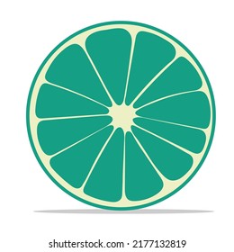 Juicy lime slice isolated on white background. Vector clip art illustration
