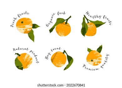 Juicy mandarin, tangerine, orange, clementine. Fresh citrus fruit, healthy organic food. Ripe fruits with leaves. Vector flat cartoon botanical illustration. Perfect for logo, stamp, brand, mark