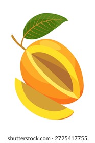 Ilustración de mango jugosa con fruta entera y en rodajas, y etiqueta aislada sobre fondo blanco