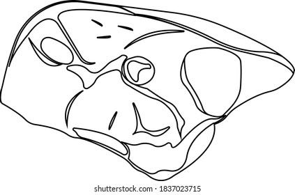 Juicy meat ham. Contour image of food. Vector illustration isolated on white background.