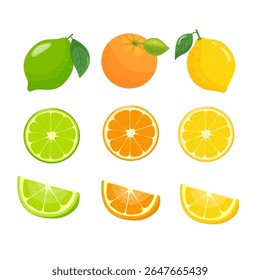 juicy natural set of citrus fruits lime, orange, lemon. illustration of whole and cross-section of citrus fruits. hand drawn.
