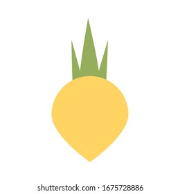 juicy onion on white background vector illustration design