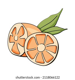 Juicy orange fruit with slices and green leaf. Graphic Print for Product Packaging related to Perfumery, Soaps, Cosmetics, Herbal Medicine, Aromatherapy Essential Oils