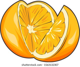 juicy orange fruit vector illustration