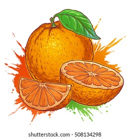 Juicy orange on a white background