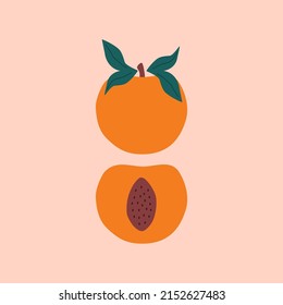 Juicy orange peach with green leaves hand drawn vector illustration. Isolated tropical fruit in flat style. Healthy natural food for logo or icon.