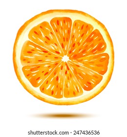 Juicy Orange with Shadow on the White Background. Vectorized hand drawn watercolor image