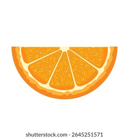 Ilustração de vetor de fatia laranja suculenta. Esta ilustração vetorial apresenta uma metade detalhada de uma suculenta laranja. O desenho apresenta uma seção transversal realista do fruto.
