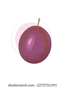 Juicy passion fruit. Passion fruit isolated. Whole fruit. Exotic fruit. Vector image.