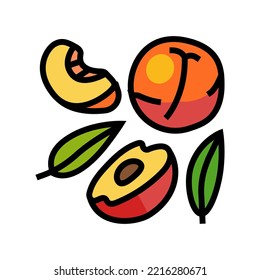 juicy peach cut color icon vector. juicy peach cut sign. isolated symbol illustration