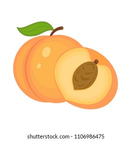 Juicy peach fruit with green  leaf and half peach vector illustration. Isolated white background.  Vector illustration isolated on white background.