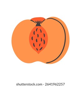 Juicy peach fruit hand drawn vector illustration. Ripe cut peach with pit. Summer fruit. 