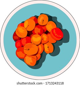 Juicy peaches. Summer taste. Vector illustration. Healthy food. Fruits