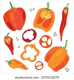 Juicy pepper. Paprika. Hot chili pepper. Seasoning. Useful Vegetables. Harvest. Botanical illustration. Vector illustration