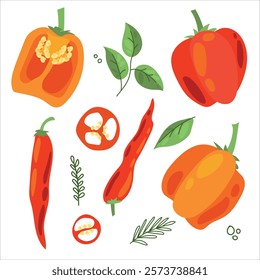 Juicy pepper. Paprika. Hot chili pepper. Seasoning. Useful Vegetables. Harvest. Botanical illustration. Vector illustration