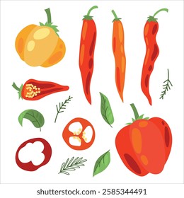 Juicy pepper. Paprika. Hot chili pepper. Seasoning. Useful Vegetables. Harvest. Botanical illustration. Vector illustration