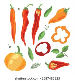 Juicy pepper. Paprika. Hot chili pepper. Seasoning. Useful Vegetables. Harvest. Botanical illustration. Vector illustration