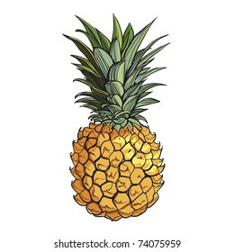 Juicy pineapple. Fresh pineapple. Tasty and healthy food. Tropical fruit