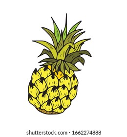 Juicy Pineapple. Hand-drawn . On a white isolated background. Vector illustration. Food and drink.