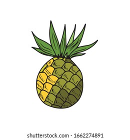 Juicy Pineapple. Hand-drawn . On a white isolated background. Vector illustration. Food and drink.