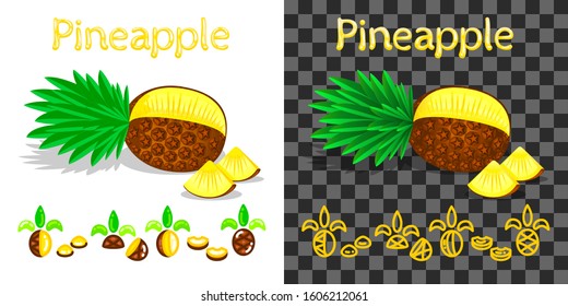 Juicy pineapple, text, icon. Natural vegetarian product, farmers market, packaging element. Fill on white background, on another gradient. White background transparent in EPS. Vector illustration.