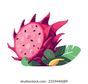 Juicy pitaya fruit, fresh from the farm icon isolated