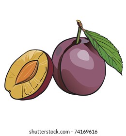 Juicy plum with a green leaflet. Fresh fruit. The healthy food full of vitamins