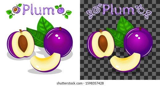 Juicy plum with text and icon. Natural vegetarian product, farmers market, packaging element. Fill on white background, on another gradient. White background transparent in EPS. Vector illustration.