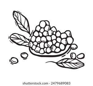 Juicy pomegranate fruit pulp with leaves. Vector black and white hand drawn illustration in linocut style on isolated background. Drawing for food and drink packaging design, menu, fabric, cards