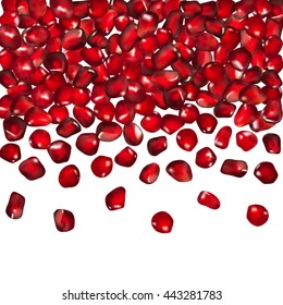 Juicy pomegranate fruit seeds isolated on white background. Realistic vector illustration.