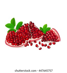 Juicy pomegranate fruit segment with leaves isolated on white background. Realistic vector illustration.