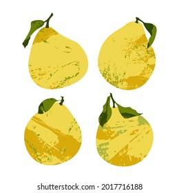 Juicy pomelo, pummelo. Fresh citrus fruit, healthy organic food. Ripe yellow fruits with leaves. Vector flat cartoon botanical illustration. Perfect for logo, stamp, brand, mark